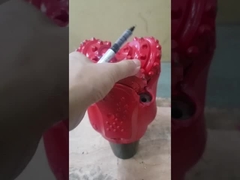 Tagliente del carburo di Tungstern